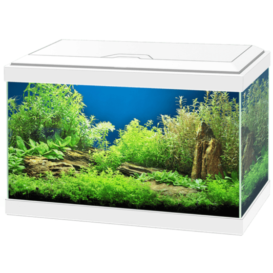 Acuario Aqua 20 Led Light Ciano Filtro Incluido