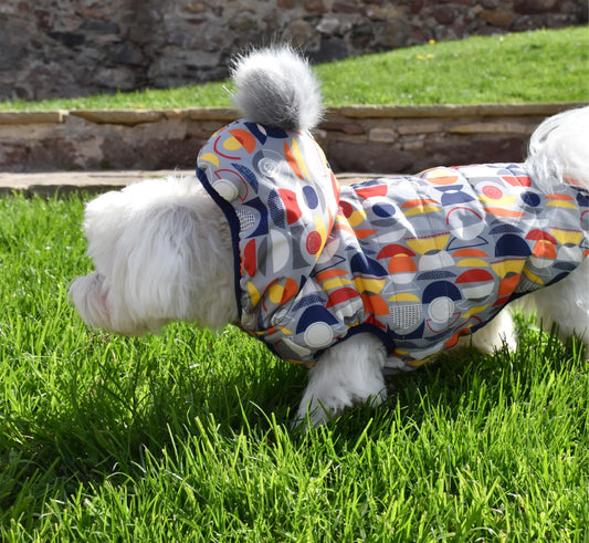 Chaqueta con Capucha y Borreguito Modern Art