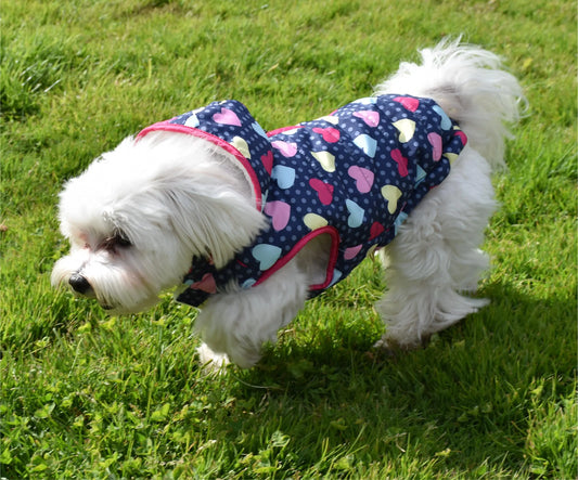 Chaqueta con Capucha y Borreguito Paris