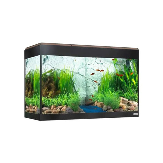 Fluval Roma Acuario 125 L Led Bluetooth