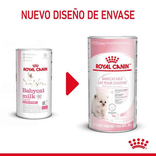 Royal Canin Babycat Milk 300 g Kit Leche en Polvo para Gatitos