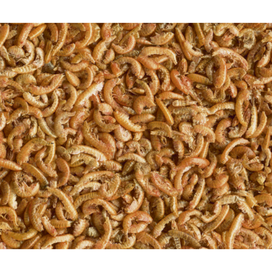 Tetra ReptoDelica Gammarus