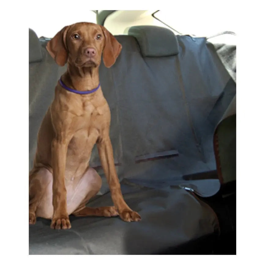 protector asientos coche cubreasientos traseros coche perro