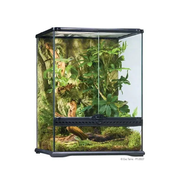 E. T KIT TERRARIO CRESTA GECKO Gde.45x45x60cm –