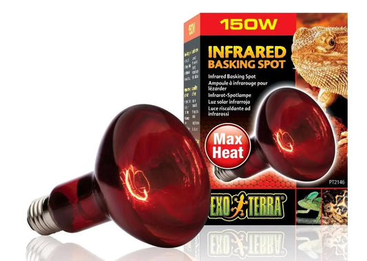 Foco Luz Infrarojo Reptiles Exo Terra