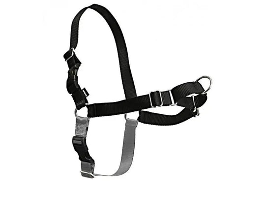 Arnés + Correa Easy Walk