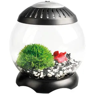 Flamingo Nano Acuario 5L Sphere 22X22X24 cm