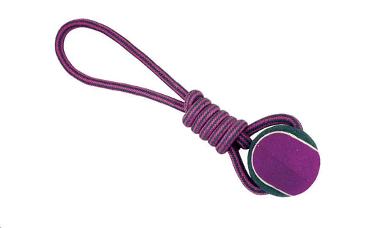 Tirador Cuerda Dental con Pelota