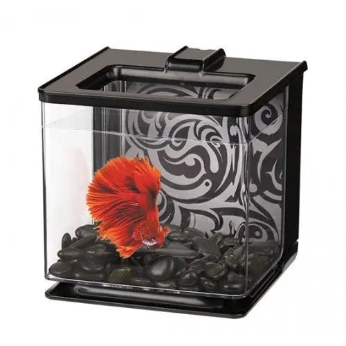 Marina Betta Ez Care Kit 2,5 L Negro