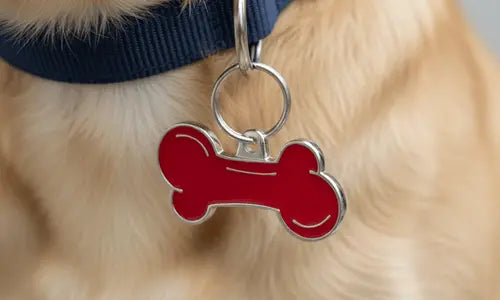 Placas-identificativas-para-perros Todoanimal.es