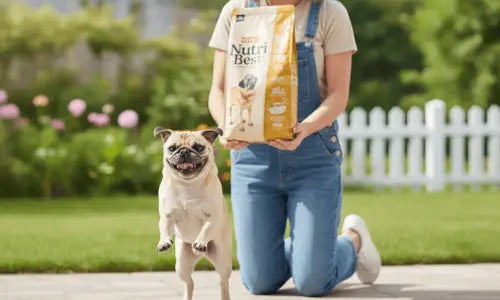 Pienso-Light-para-Perros Todoanimal.es