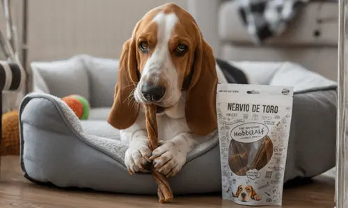 Snacks-para-perros Todoanimal.es