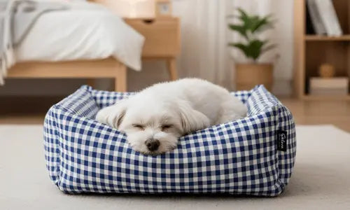 Camas-para-perros Todoanimal.es