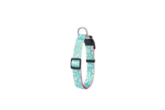 Collar Blue Ginger Cookie 20Mm X 20/65Cm T-M Freedog FREEDOG