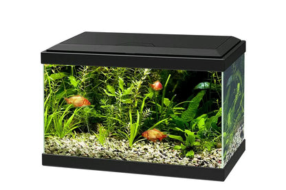 ACUARIO AQUA 20 LIGHT CIANO - Todoanimal.es