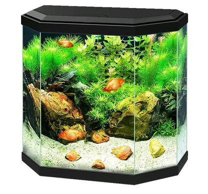 ACUARIO AQUA 30 LIGHT CIANO - Todoanimal.es