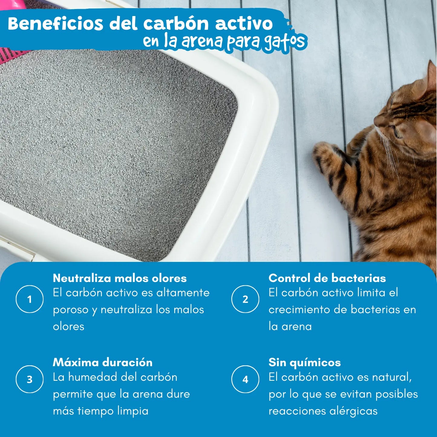 ARENA GATO AGLOMERANTE CATTER LITTER EFECTO CARBON 5L MCL BENTONIT MADENCILIK L.S.VE.T.AS