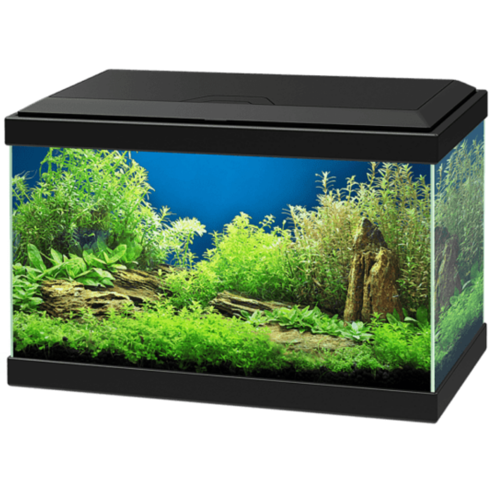 Acuario Aqua 20 Led Light Ciano Filtro Incluido al mejor precio -Todoanimal.es