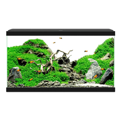 Acuario Aquarium 60 Led Ciano - Incluye Filtro Interior 60x30x33,5cm 58L. CIANO