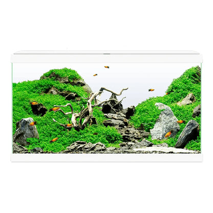 Acuario Aquarium 60 Led Ciano - Incluye Filtro Interior 60x30x33,5cm 58L. CIANO