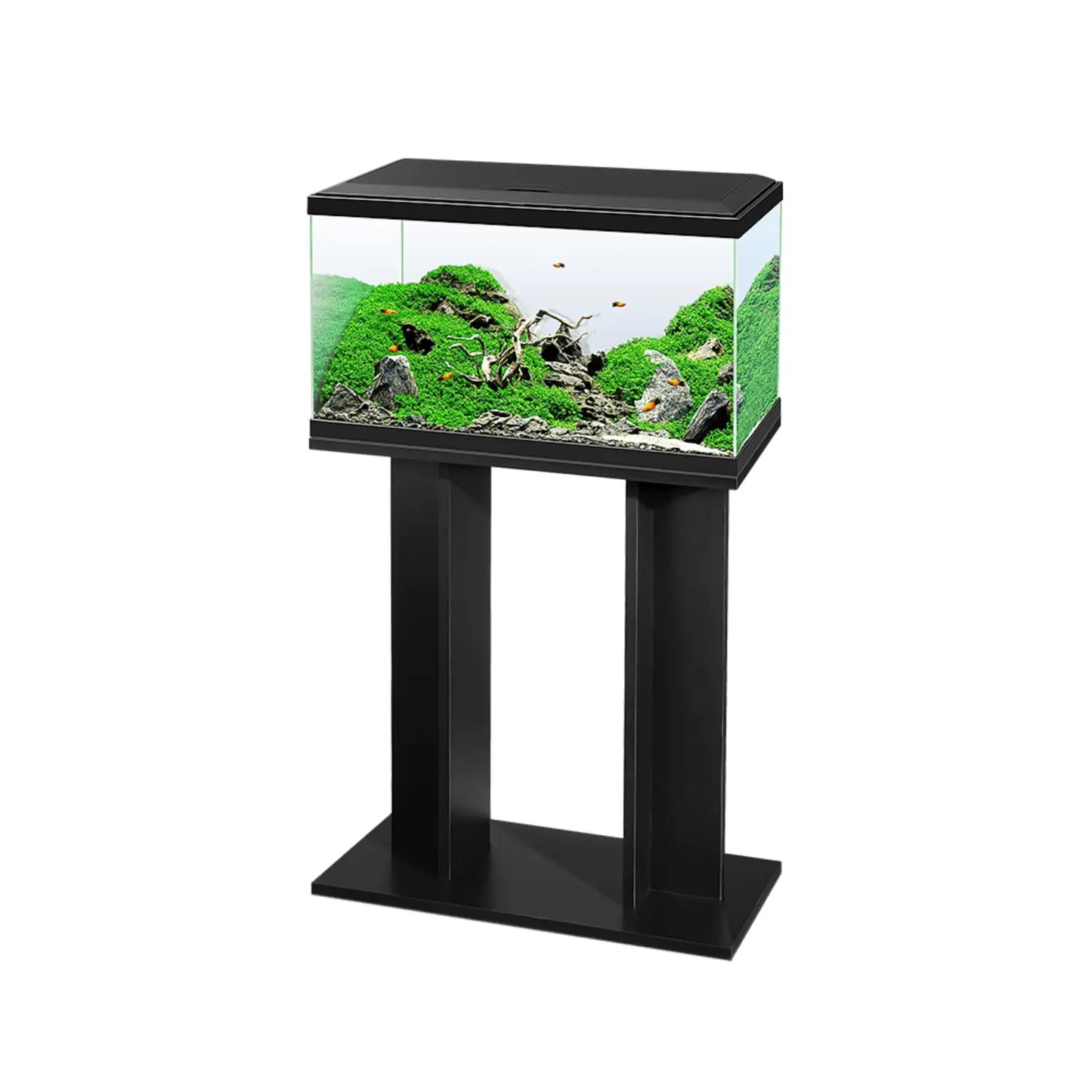 Acuario Aquarium 60 Led Ciano - Incluye Filtro Interior 60x30x33,5cm 58L. CIANO