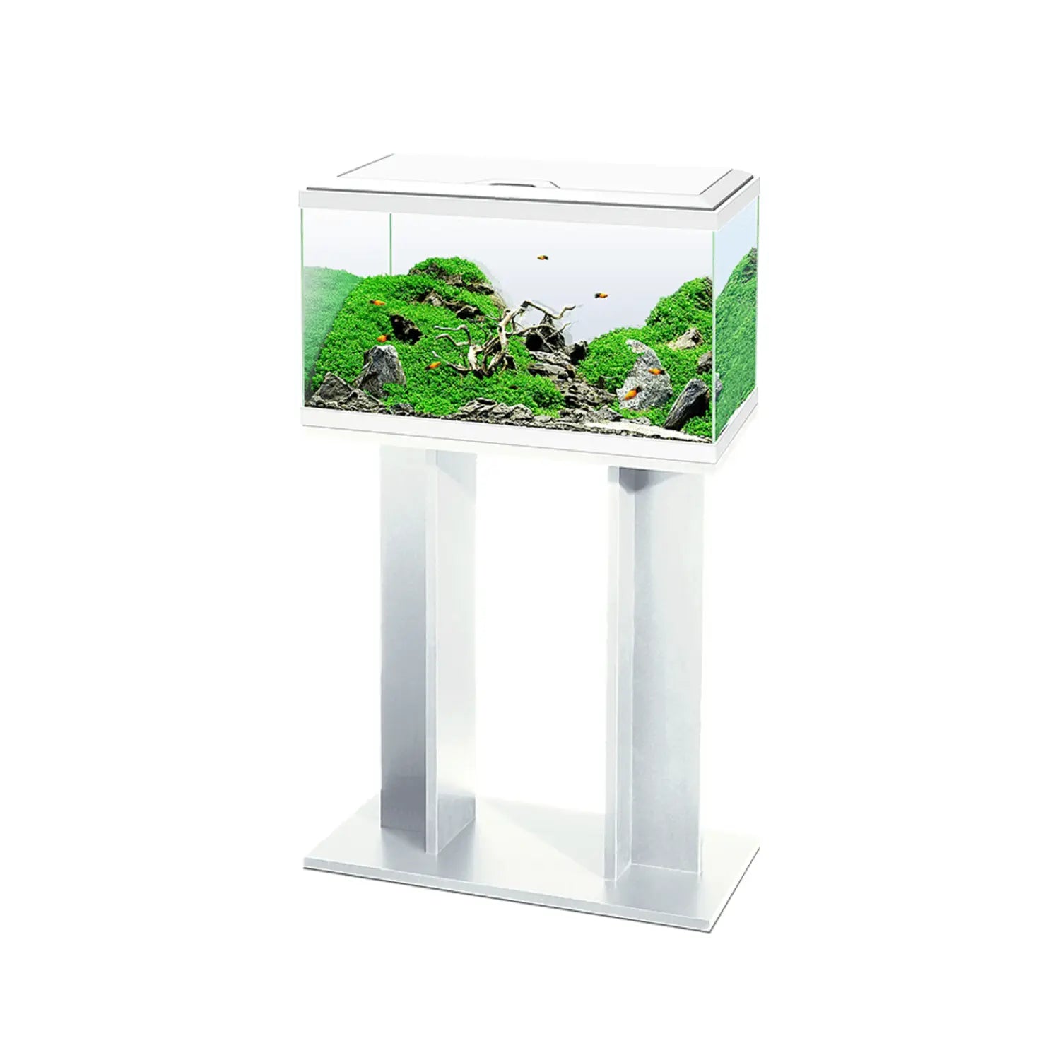 Acuario Aquarium 60 Led Ciano - Incluye Filtro Interior 60x30x33,5cm 58L. CIANO