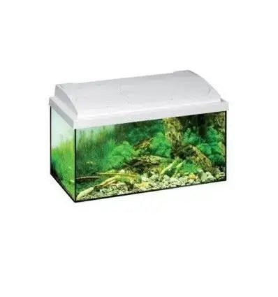 Acuario Eheim Aquastar 54 Blanco (60X30X30) Todoanimal.es