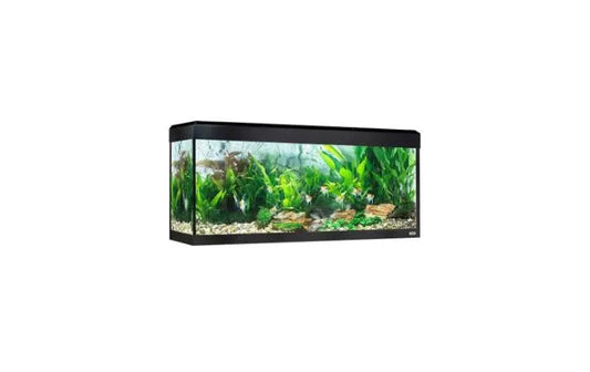 Acuario Fluval Roma 240 Litros Negro 50X120X40Cm.