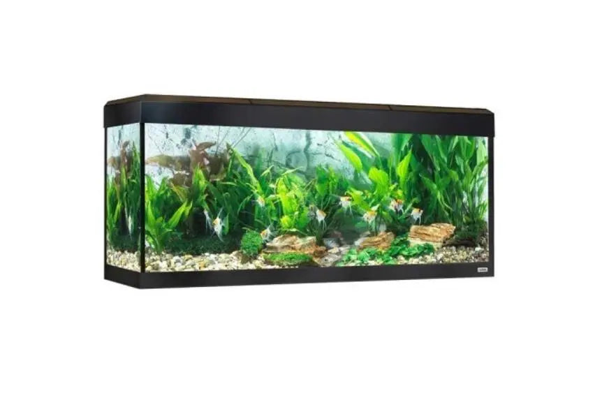 Acuario Fluval Roma 240 Litros Nogal 50X120X40Cm.