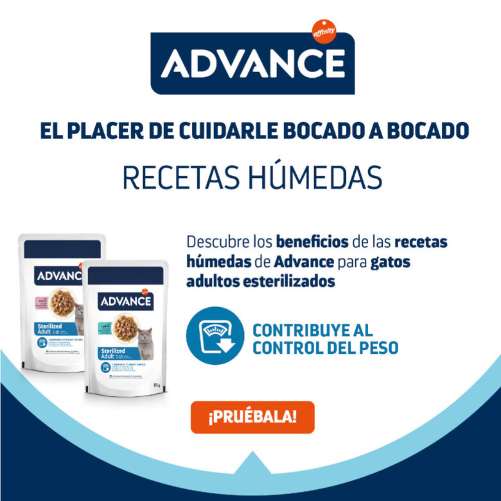 Advance Cat Bocaditos en Salsa para Gatos Adultos 85 g al mejor precio -Todoanimal.es