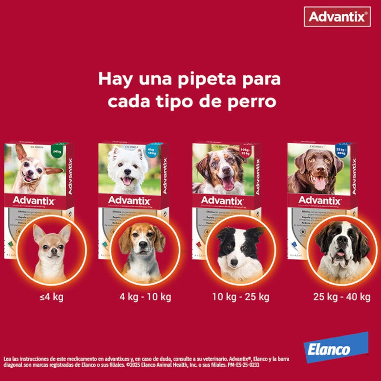 Advantix Pipetas Antiparasitarias para Perros al mejor precio -Todoanimal.es