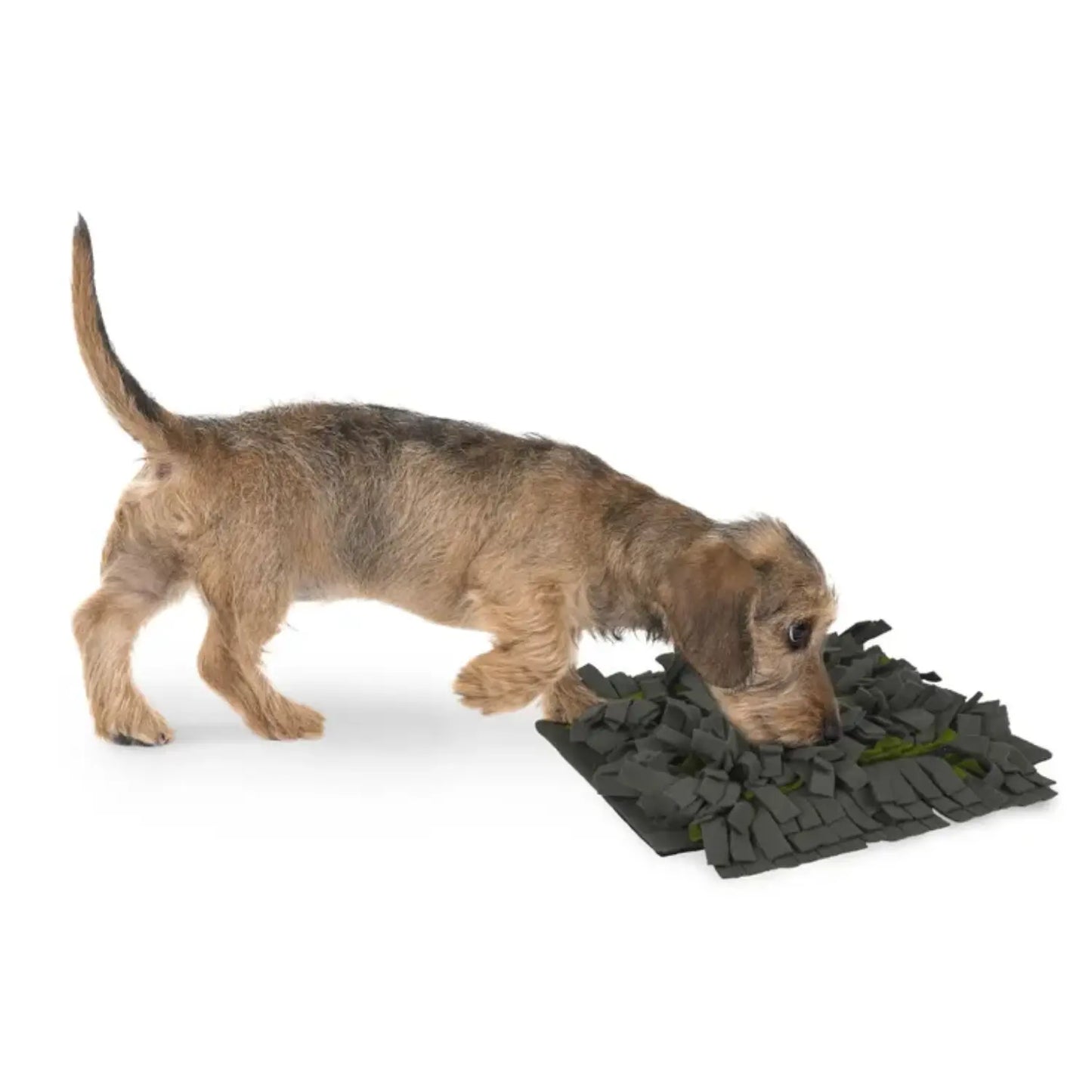 Alfombra Olfativa para Perros - Antideslizante y Lavable FLAMINGO