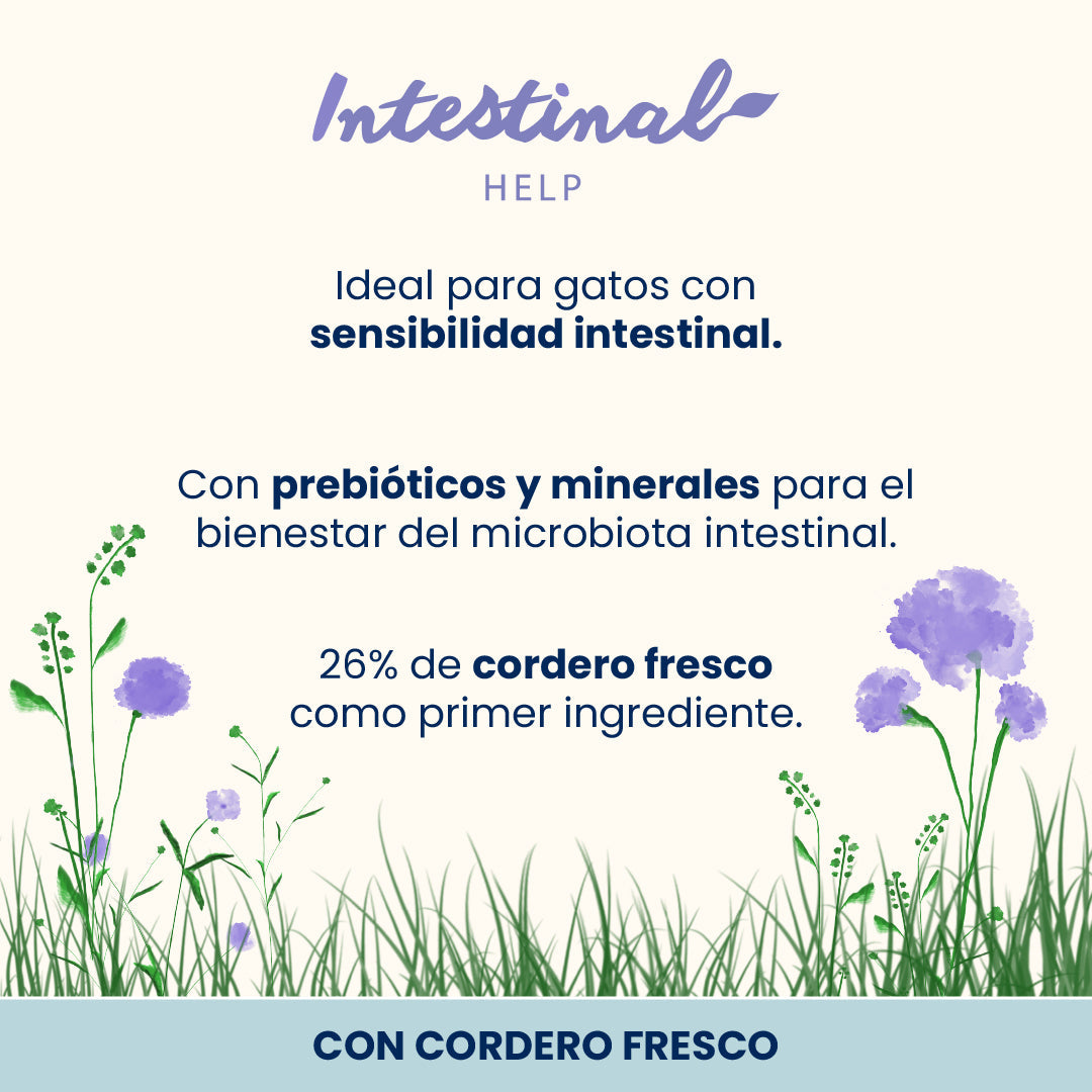Almo Nature Intestinal Help Cordero Pienso para Gatos al mejor precio -Todoanimal.es
