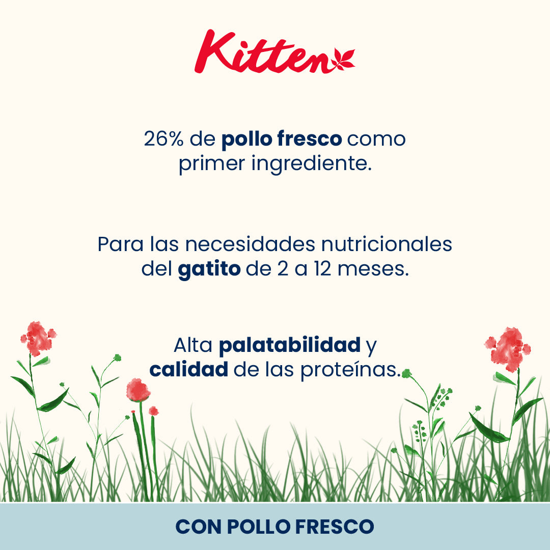 Almo Nature Kitten Pollo Pienso para Gatos al mejor precio -Todoanimal.es
