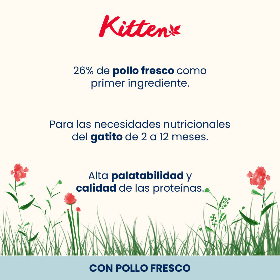 Almo Nature Kitten Pollo Pienso para Gatos al mejor precio -Todoanimal.es