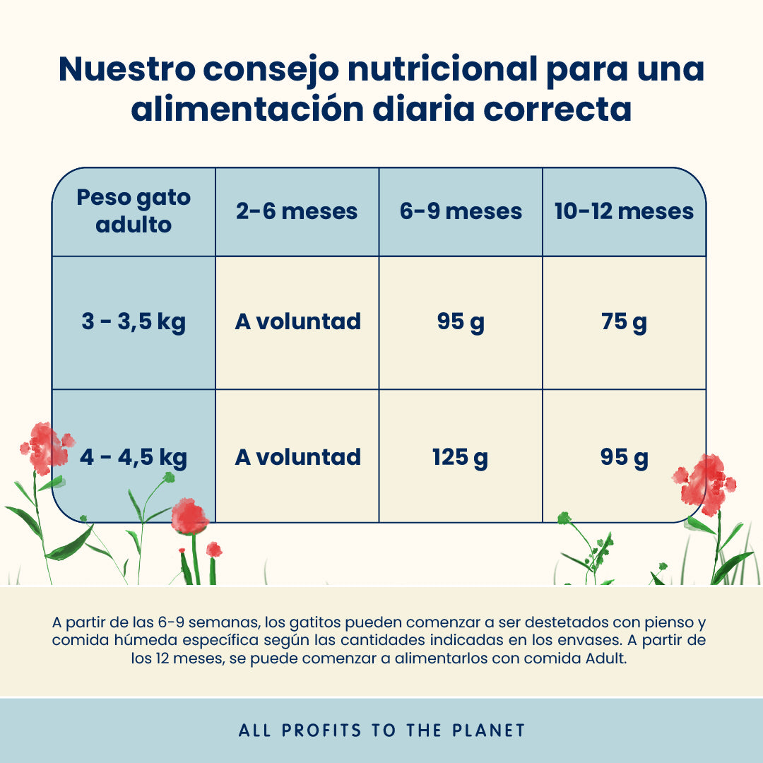 Almo Nature Kitten Pollo Pienso para Gatos al mejor precio -Todoanimal.es