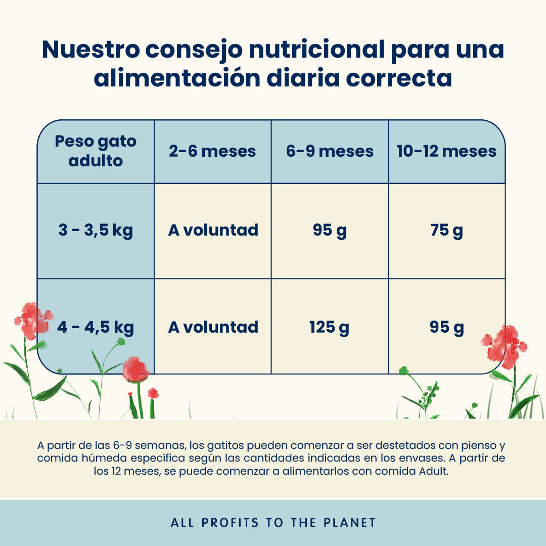 Almo Nature Kitten Pollo Pienso para Gatos al mejor precio -Todoanimal.es