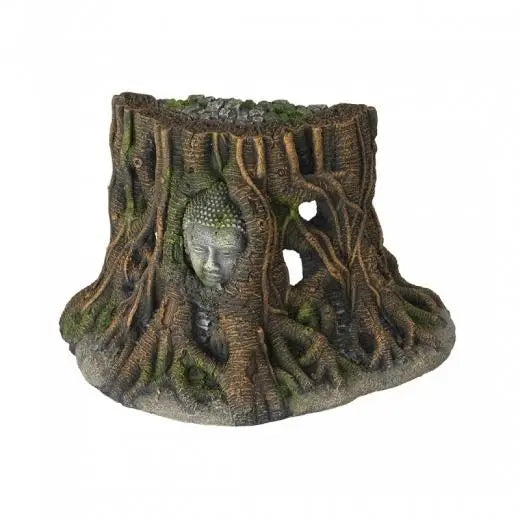 Aqua D'Ella Buda Arbol Thailand 25.5X14X15Cm - Precios Más Baratos - Todoanimal