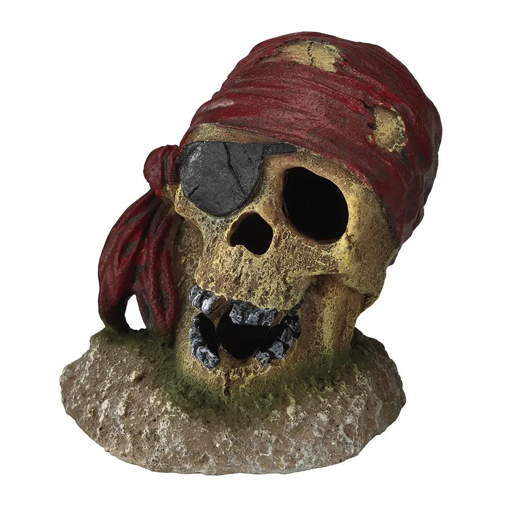 Aqua D'Ella Craneo Pirata 7X7X8Cm - Precios Más Baratos - Todoanimal