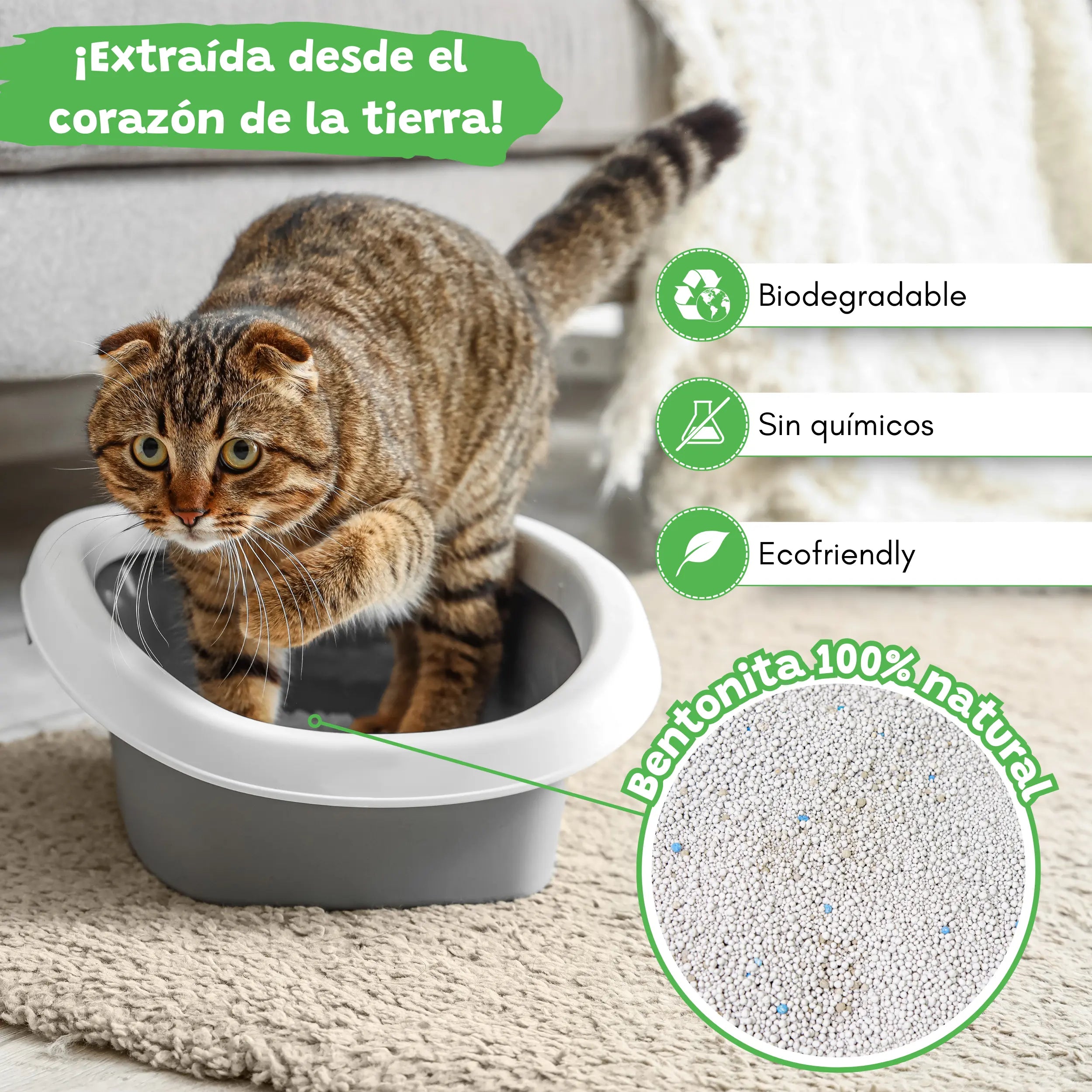 Arena Aglomerante Aloe Vera para Gatos 10L Catter Litter CATTER LITTER