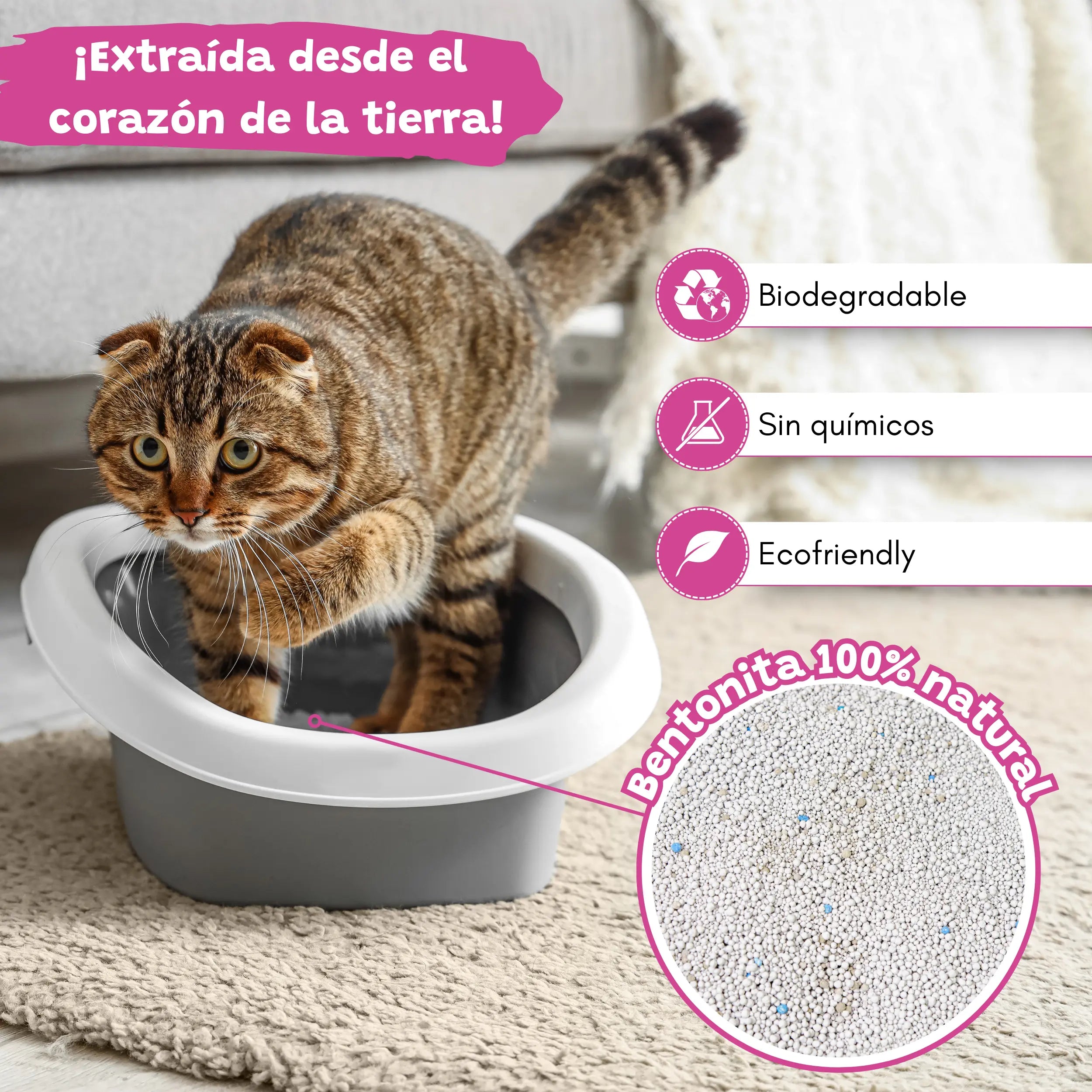 Arena Aglomerante Baby para Gatos 10L Catter Litter CATTER LITTER