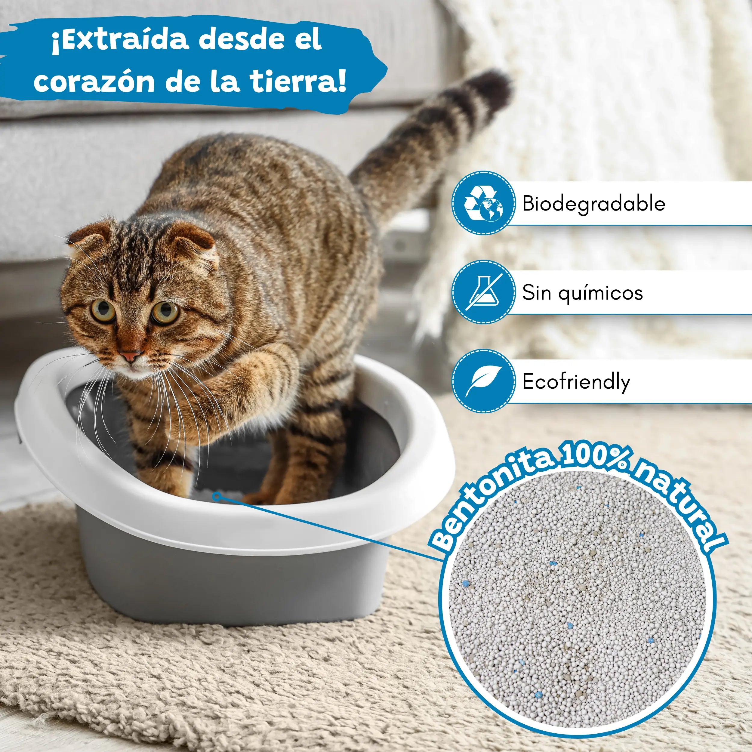Arena Aglomerante Carbón Activo para Gatos Catter Litter CATTER LITTER