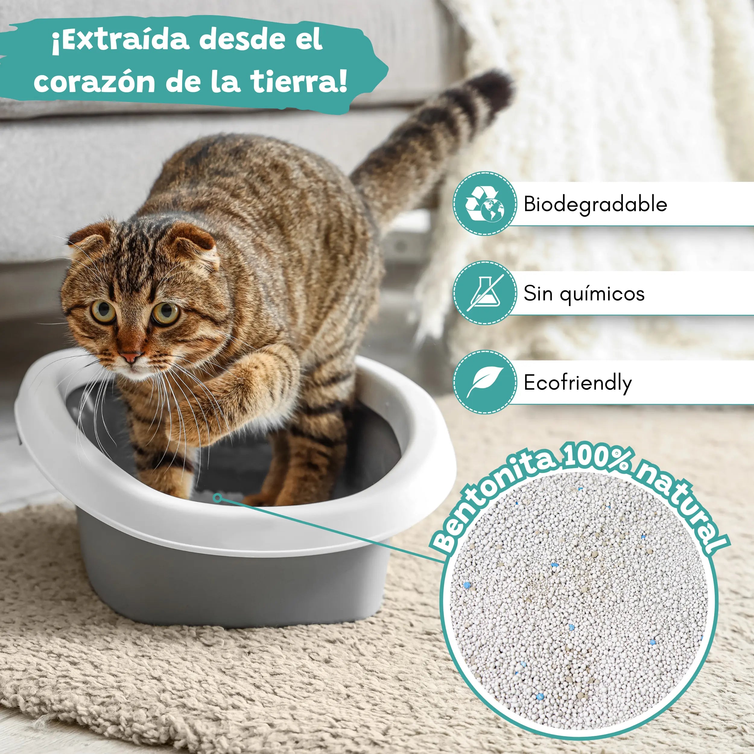 Arena Aglomerante Jabón de Marsella para Gatos Catter Litter CATTER LITTER
