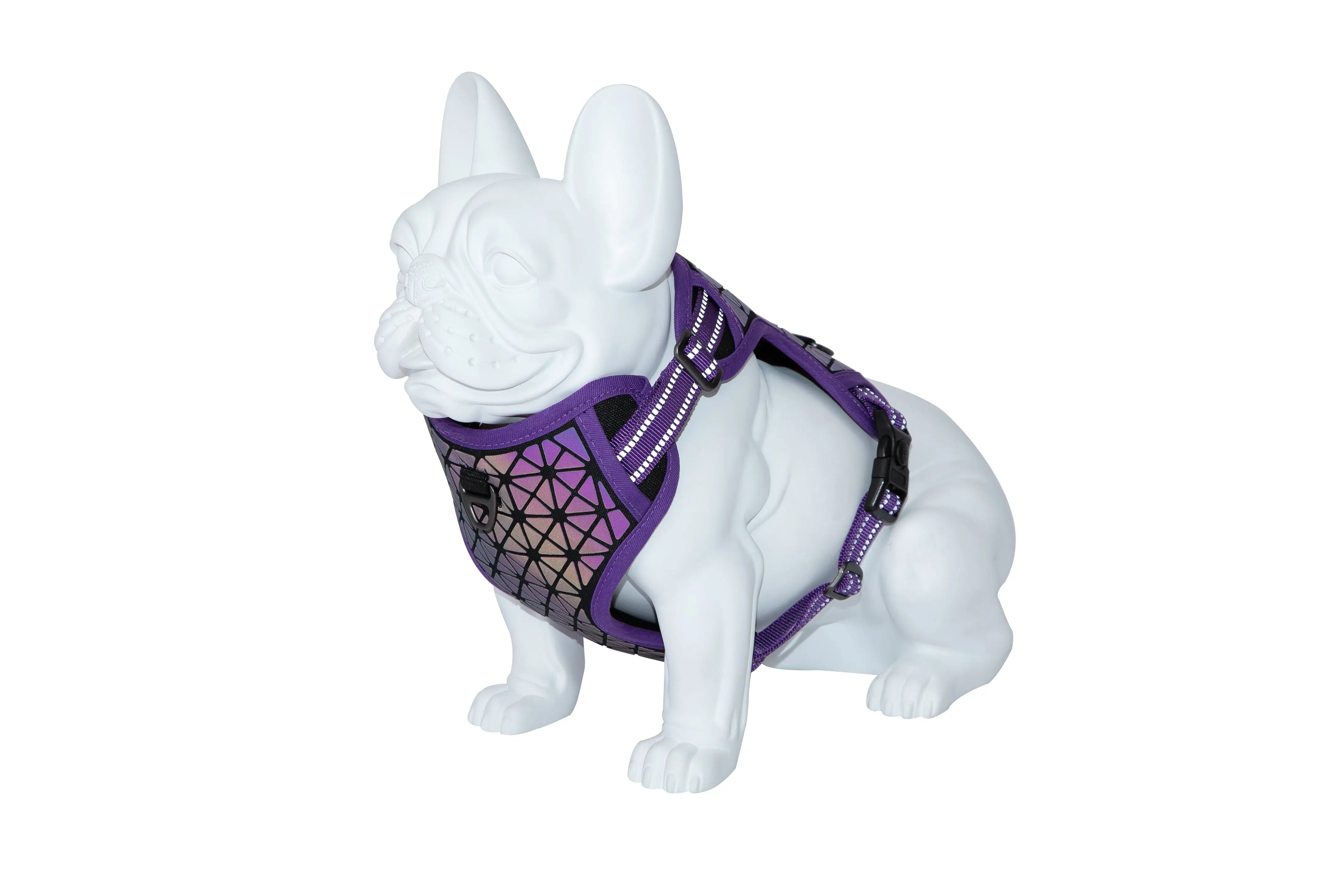 Arnes Boreal Lila 25Mm Cuello 43-65Cm Pecho 45-90Cm - Precios Más Baratos - Todoanimal