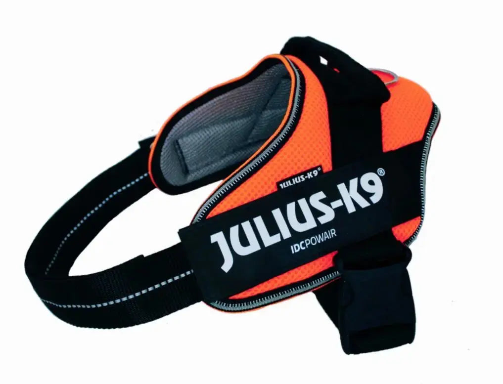 Arnes Idc Julius Powair Naranja S CANES JOB S.L.