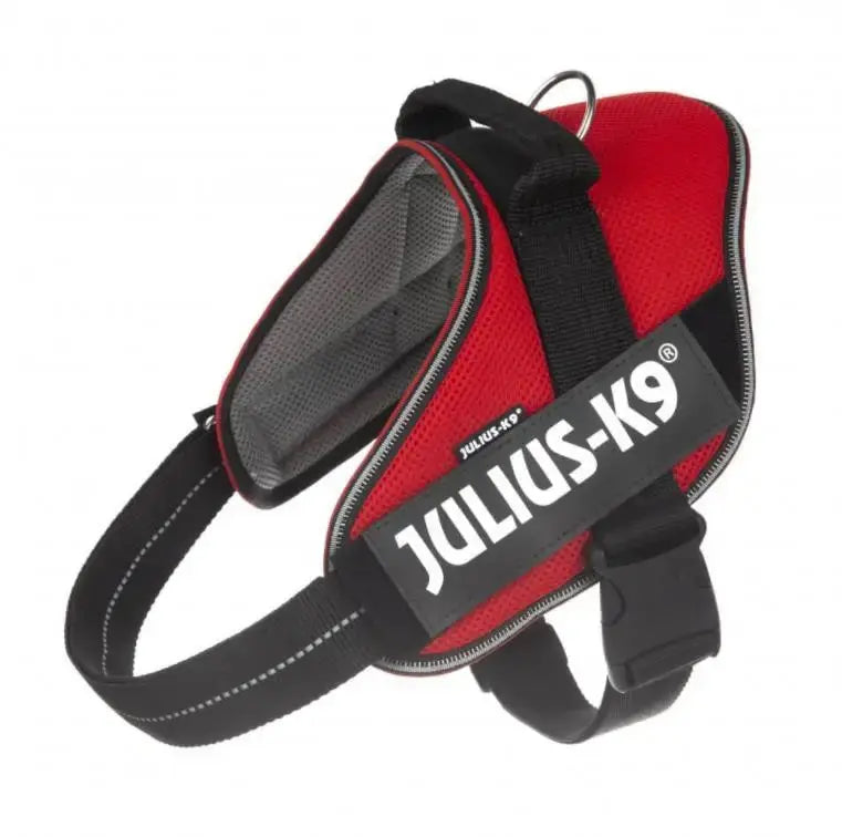 Arnes Idc Julius Powair Rojo L CANES JOB S.L.