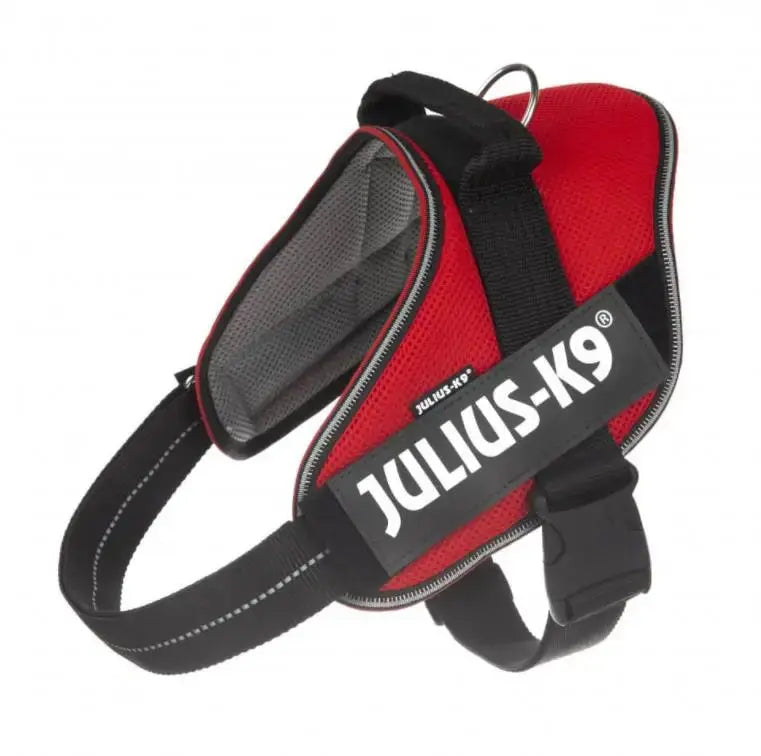 Arnes Idc Julius Powair Rojo S CANES JOB S.L.