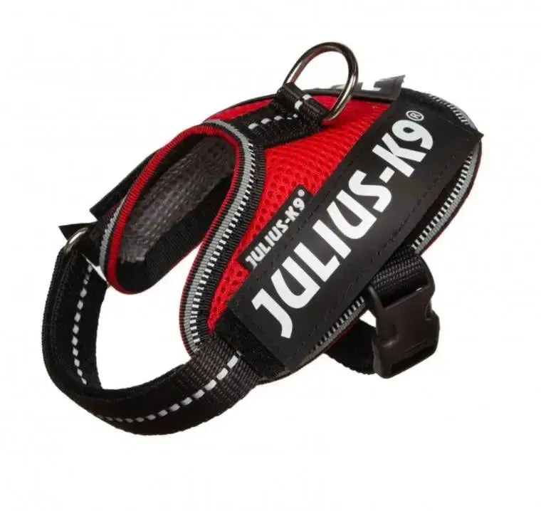 Arnes Idc Julius Powair Rojo Xs CANES JOB S.L.