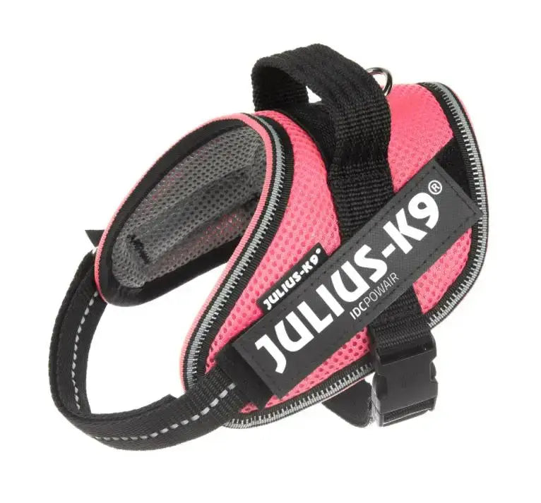 Arnes Idc Julius Powair Rosa Xl CANES JOB S.L.