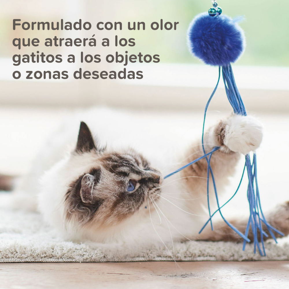 Beaphar Cat Trainer 10 ml al mejor precio -Todoanimal.es